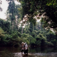 Image00028