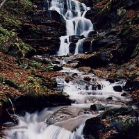 Image001