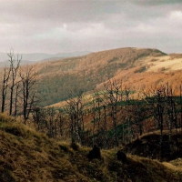 Image008