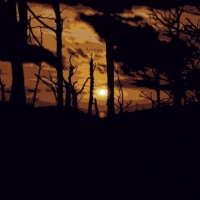 Image009