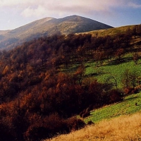 Image010
