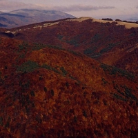 Image011