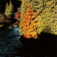 Image018