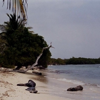 Image00007