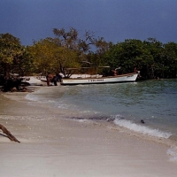 Image00010
