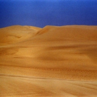 Image00012