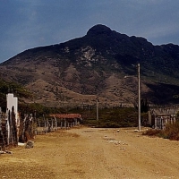 Image00014