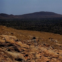 Image00015