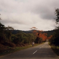 Image00018