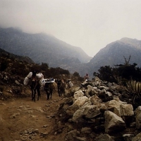 Image00021
