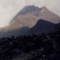 Image00022