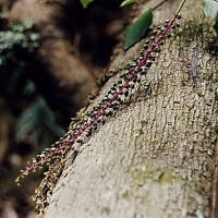 Image00028