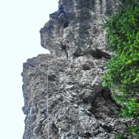 Image00031