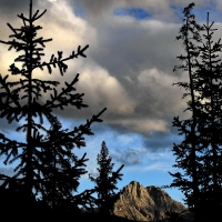 Image00032