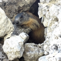 Image00063