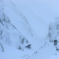 Image00026
