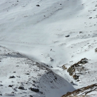 Image00046