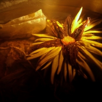 Image00055