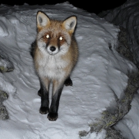 Image00057