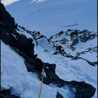 Image00022