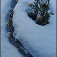 Image00045