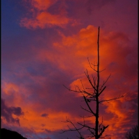 Image00054