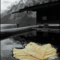 Image00061
