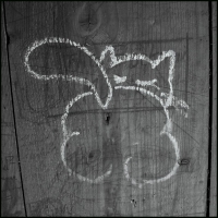 Image00062