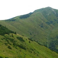 Image00008