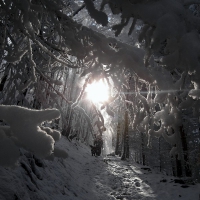 Image00004