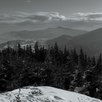 Image00036