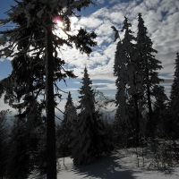 Image00038