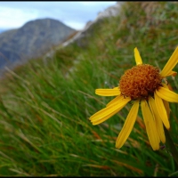 Image00023