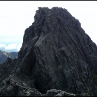 Image00035