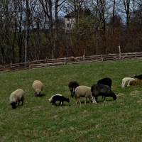 Image00002