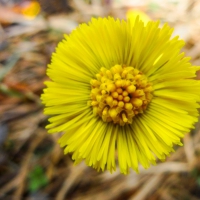 Image00003