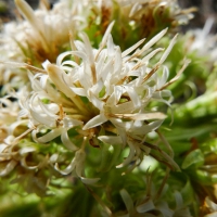 Image00019