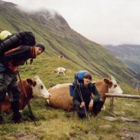 Image00002