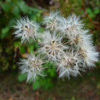 P1040901