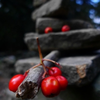 P1040912