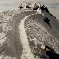 Image00007