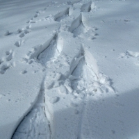 Image003