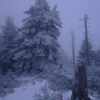 Image00001e