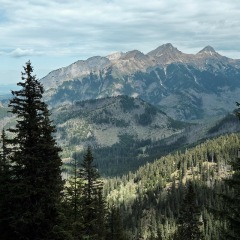 Image00005