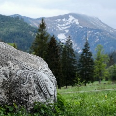 Image00040