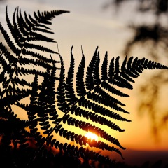 Image00022