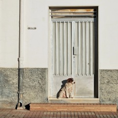 Image00007