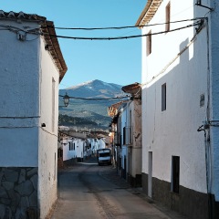 Image00008