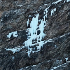 Image00029