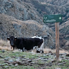 Image00046